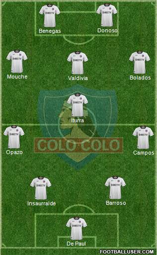 CSD Colo Colo Formation 2019