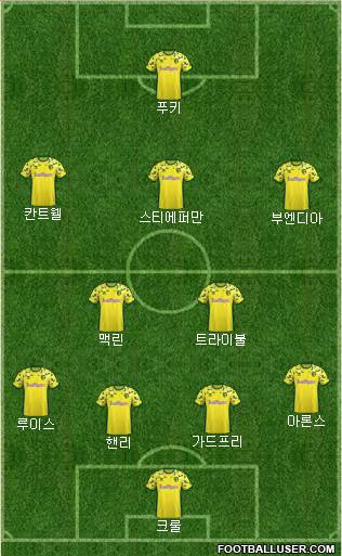 Norwich City Formation 2019