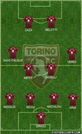 Torino Formation 2019