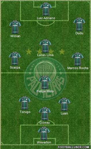 SE Palmeiras Formation 2019