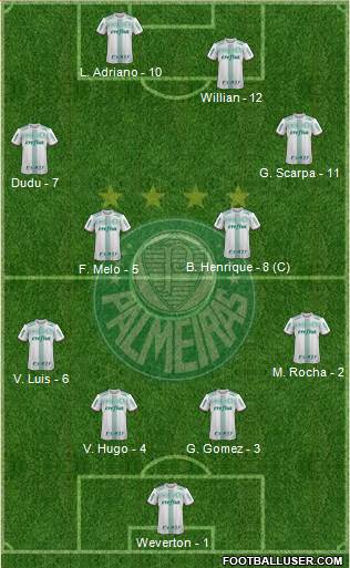 SE Palmeiras Formation 2019