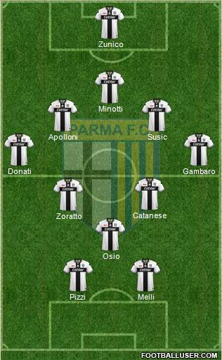 Parma Formation 2019