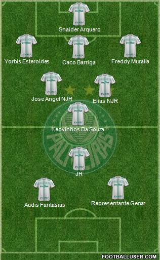 SE Palmeiras Formation 2019