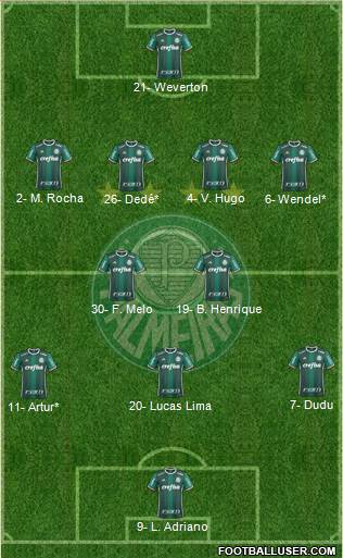 SE Palmeiras Formation 2019