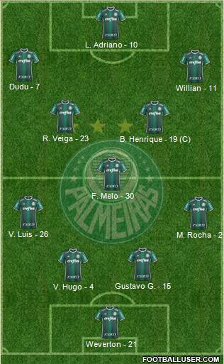SE Palmeiras Formation 2019