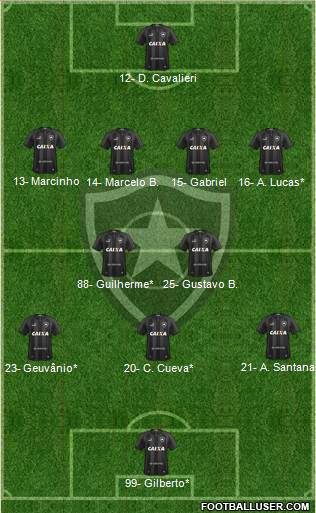Botafogo FR Formation 2019