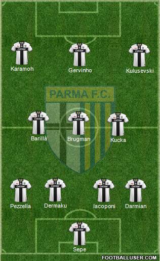 Parma Formation 2019