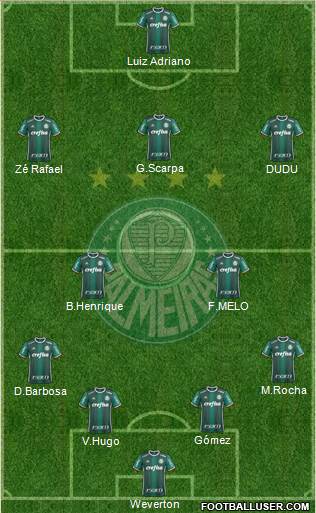 SE Palmeiras Formation 2019