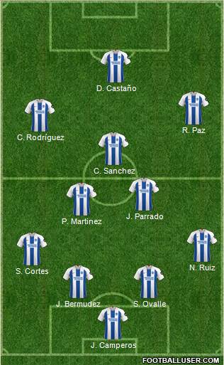 Brighton and Hove Albion Formation 2019