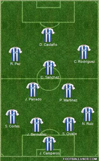Brighton and Hove Albion Formation 2019