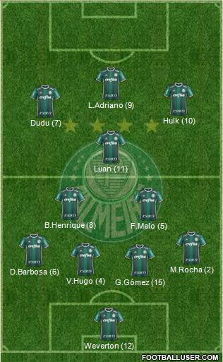SE Palmeiras Formation 2019