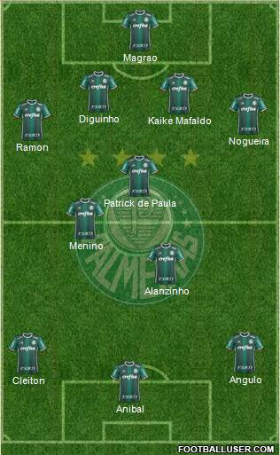 SE Palmeiras Formation 2019