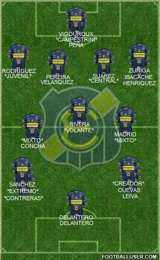 CD Everton de Viña del Mar S.A.D.P. Formation 2019