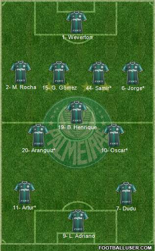 SE Palmeiras Formation 2019
