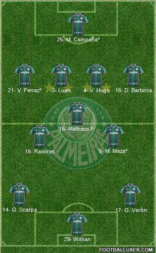 SE Palmeiras Formation 2019