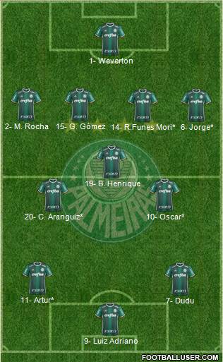 SE Palmeiras Formation 2019