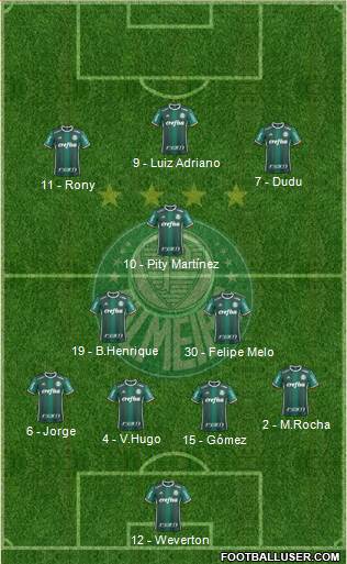 SE Palmeiras Formation 2019