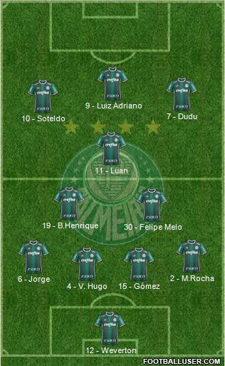 SE Palmeiras Formation 2019