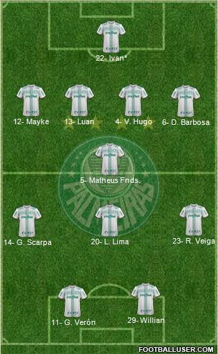 SE Palmeiras Formation 2019