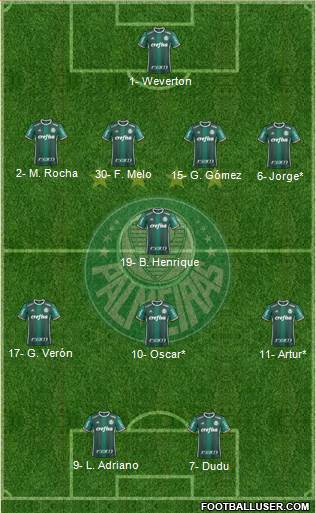 SE Palmeiras Formation 2019
