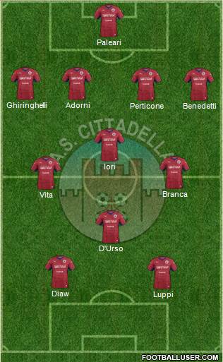 Cittadella Formation 2019