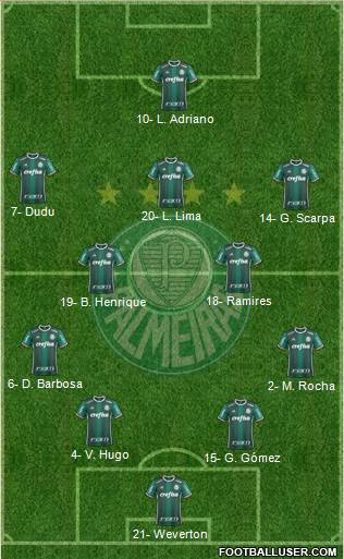 SE Palmeiras Formation 2019