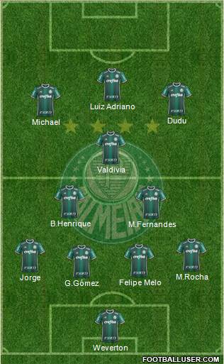 SE Palmeiras Formation 2019