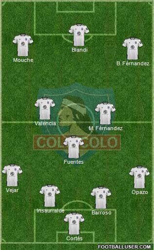 CSD Colo Colo Formation 2019