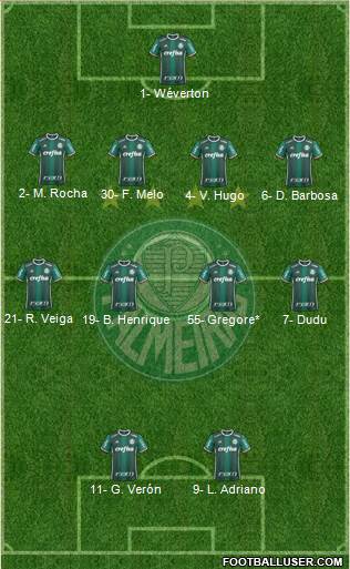 SE Palmeiras Formation 2020