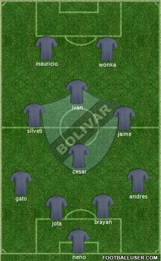 C Bolívar Formation 2020