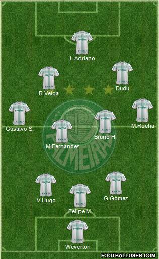 SE Palmeiras Formation 2020