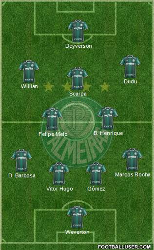 SE Palmeiras Formation 2020