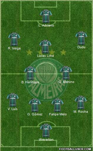 SE Palmeiras Formation 2020