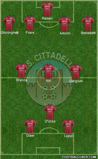 Cittadella Formation 2020