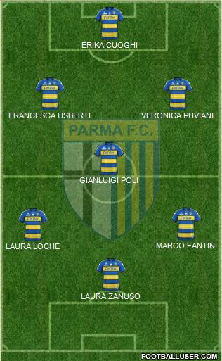 Parma Formation 2020