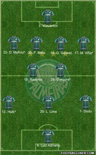 SE Palmeiras Formation 2020