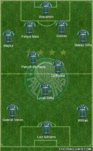 SE Palmeiras Formation 2020