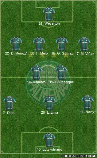 SE Palmeiras Formation 2020