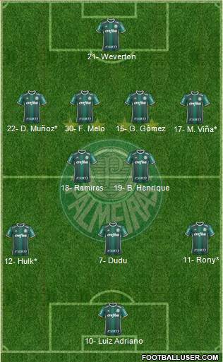 SE Palmeiras Formation 2020