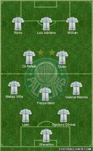 SE Palmeiras Formation 2020