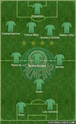 SE Palmeiras Formation 2020