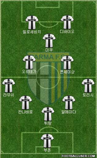 Parma Formation 2020