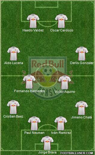 Red Bull FE Ltda Formation 2020