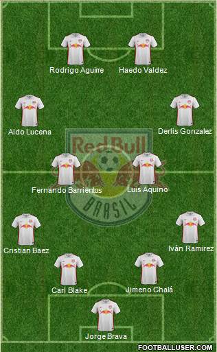 Red Bull FE Ltda Formation 2020