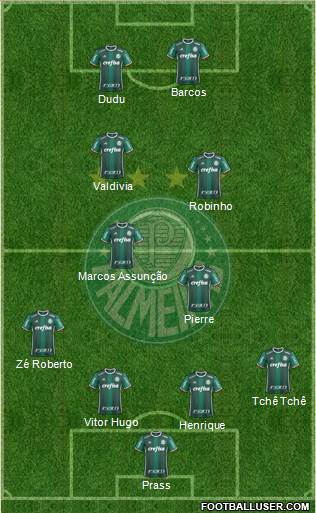 SE Palmeiras Formation 2020