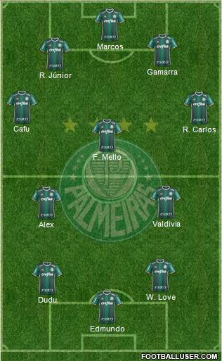 SE Palmeiras Formation 2020