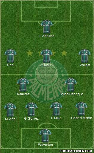 SE Palmeiras Formation 2020