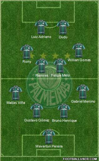 SE Palmeiras Formation 2020