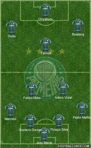SE Palmeiras Formation 2020