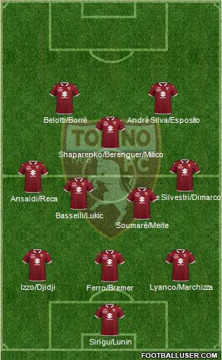 Torino Formation 2020